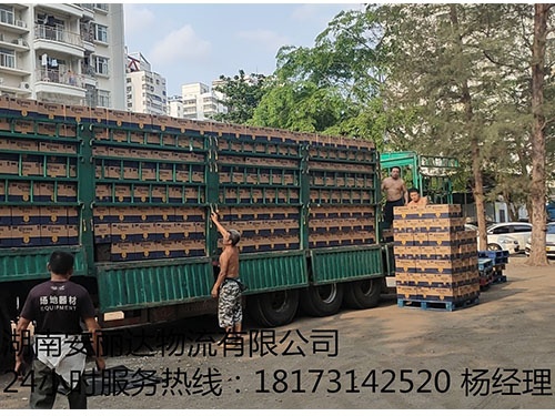 饮品专业运输就选湖南(nán)立博和安丽达物流有(yǒu)限公司 饮品(pǐn)专业运输就选湖南安(ān)丽达(dá)物流有限公司